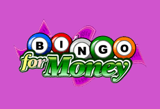 Casino Review Bingo For Money